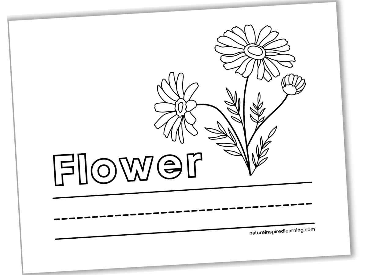 worksheet with a simple flower, Flower written in outline form, with a set of lines across the bottom.