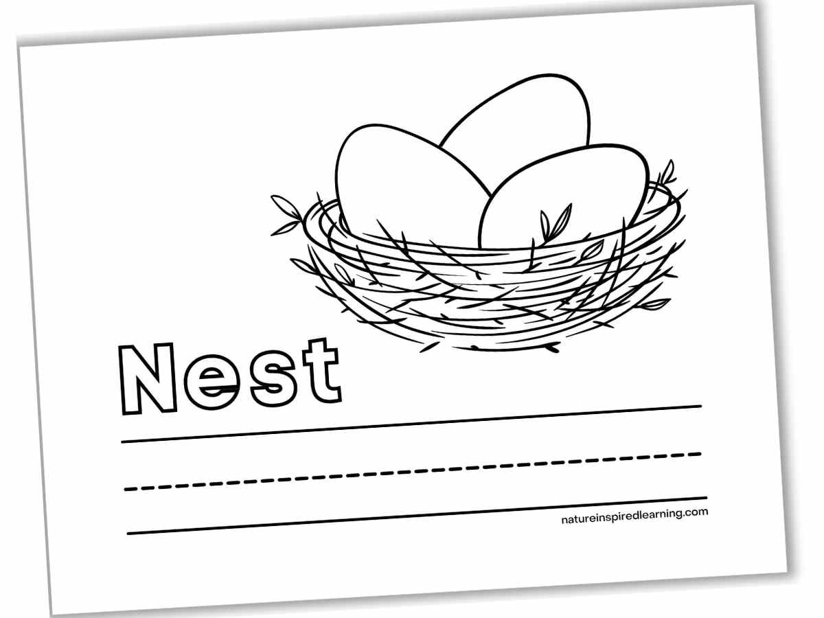 black and white sheet with a large nest with three eggs, the word Nest in outline form above a set of lines.