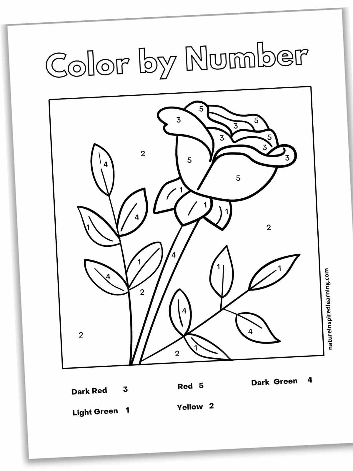 sheet with a black and white outline of a single rose with leaves with numbers on the flower stem, petals, leaves, and background.