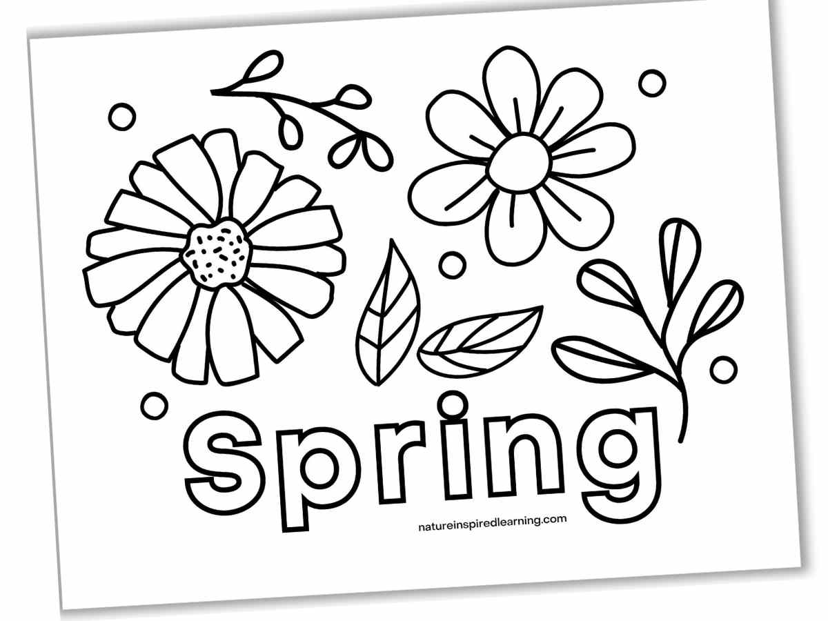 Large black and white design with two flowers, different types of foliage, and little circles with Spring across the bottom in outline form.