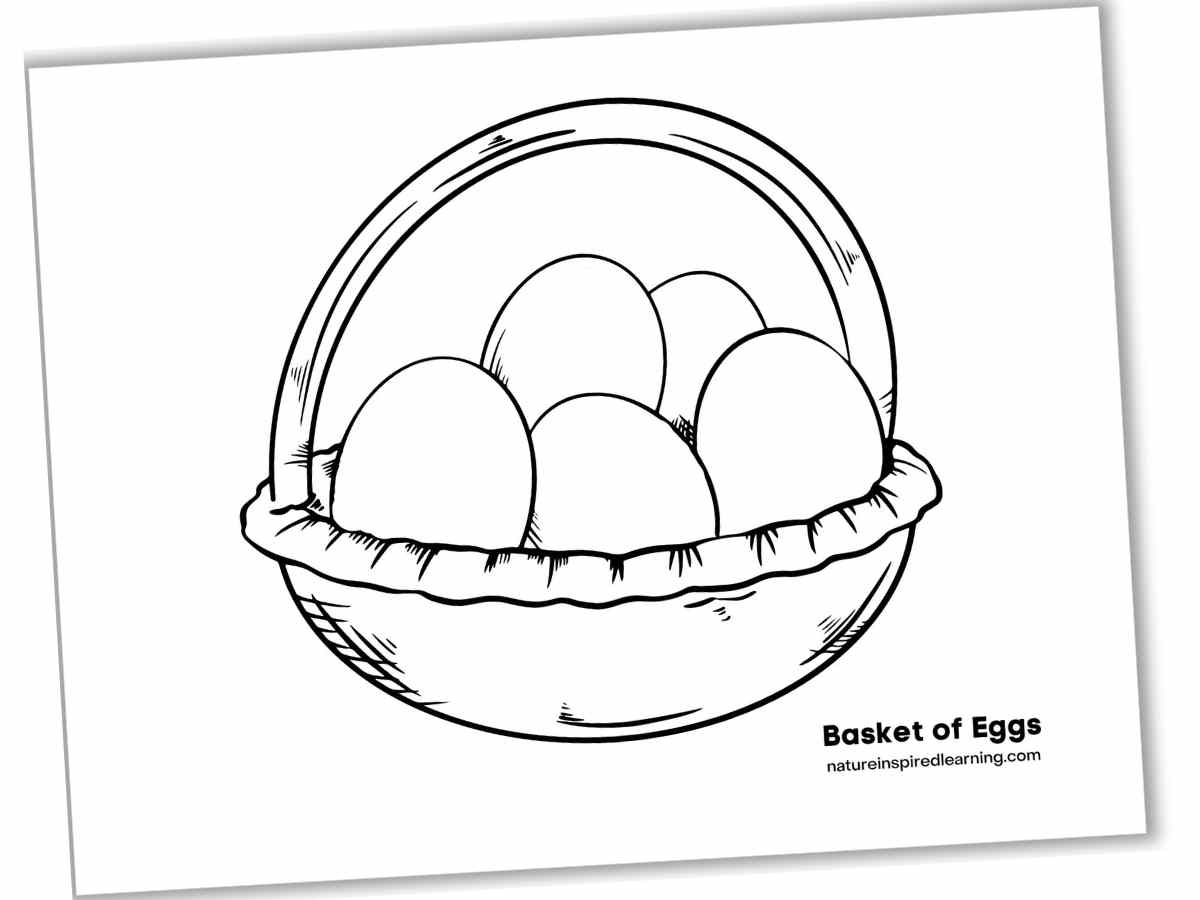 basket with an arched handle with five eggs inside