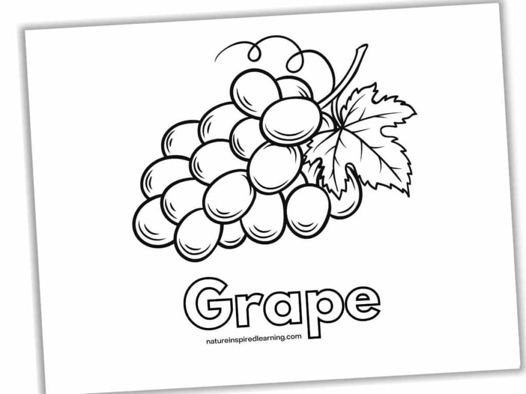 Grape Coloring Pages - Nature Inspired Learning