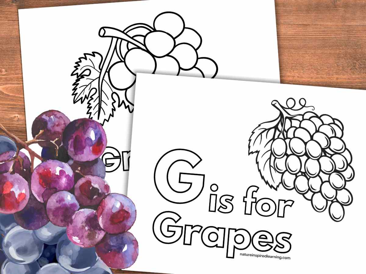 black and white coloring sheets with grape designs overlapping on a wooden background with grape clip art bottom left