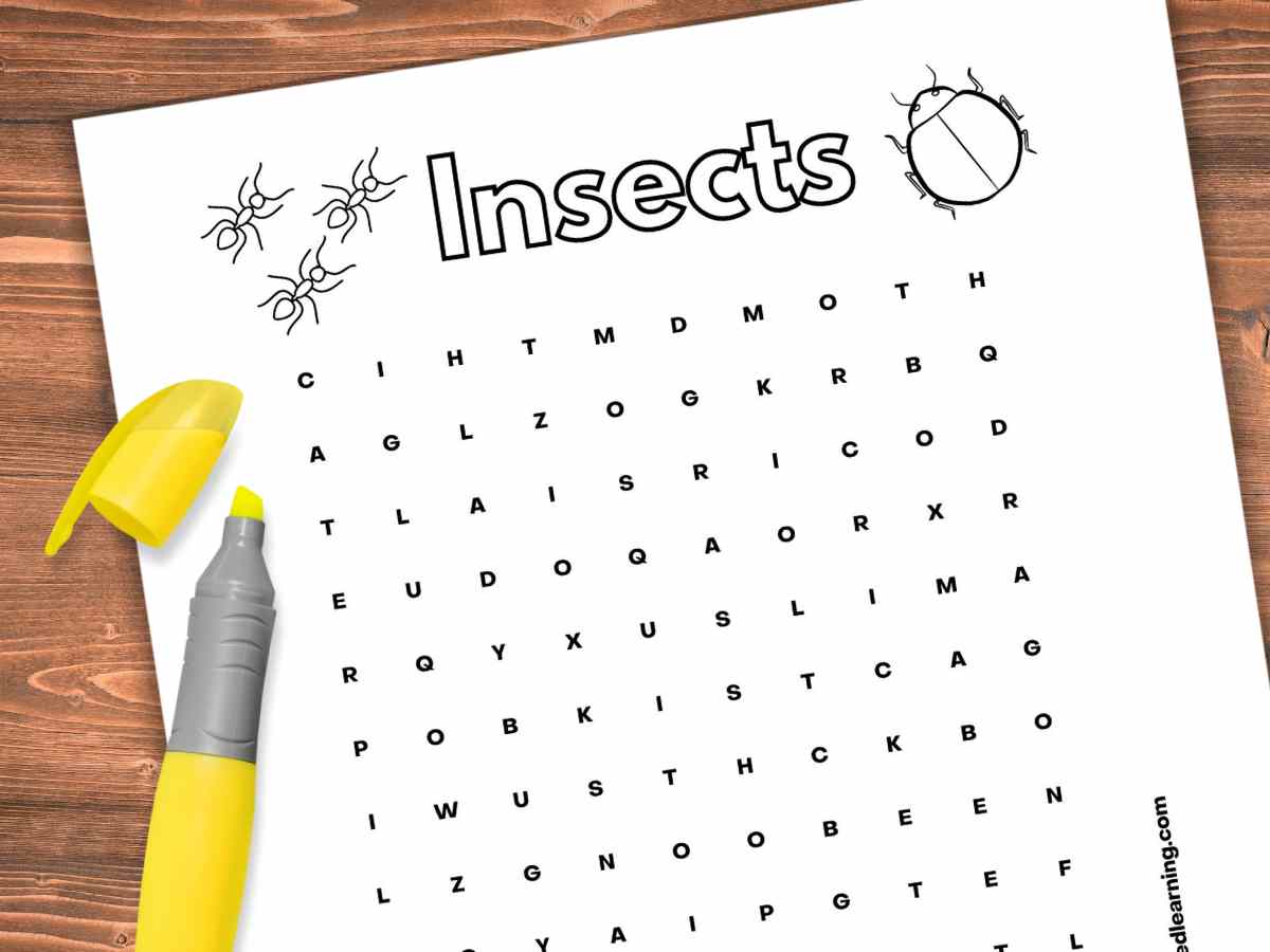 black and white word search with bug and insect vocabulary terms with a drop shadow on a wooden background with a yellow highlighter left side with cover off