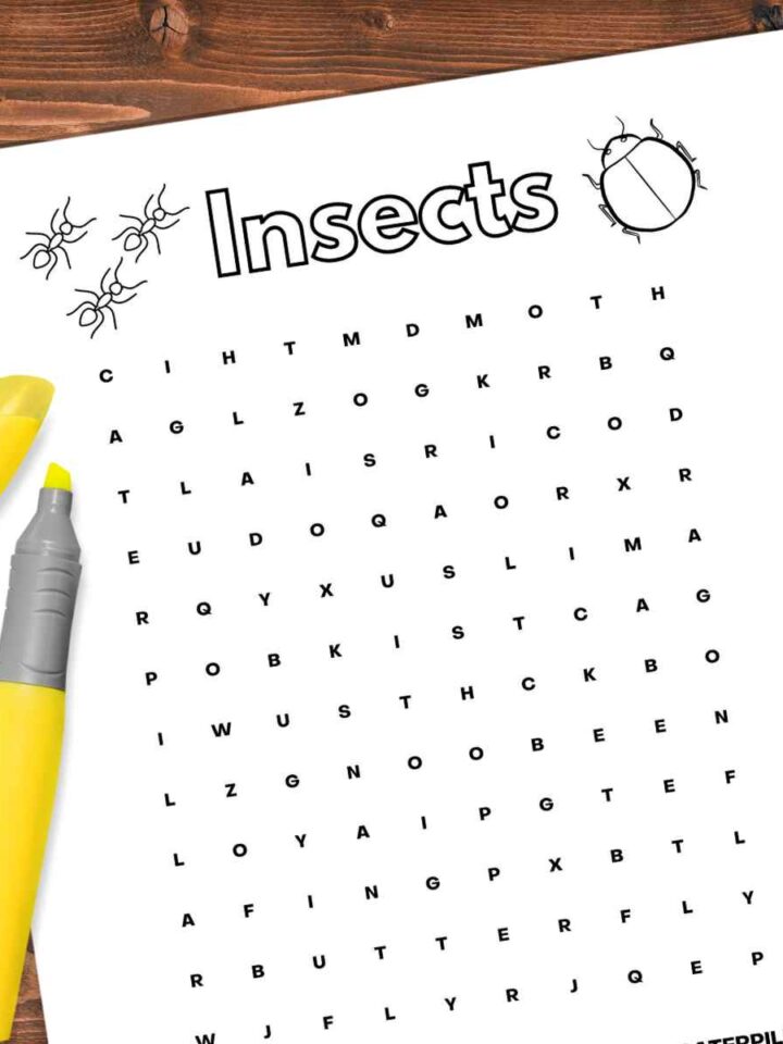 black and white word search with bug and insect vocabulary terms with a drop shadow on a wooden background with a yellow highlighter left side with cover off