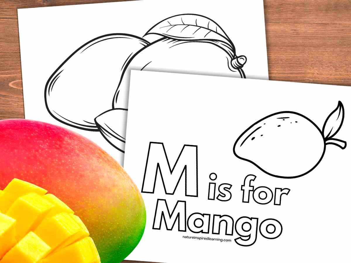 two black and white coloring sheets with mango designs on a wooden background with mango clip art bottom left.
