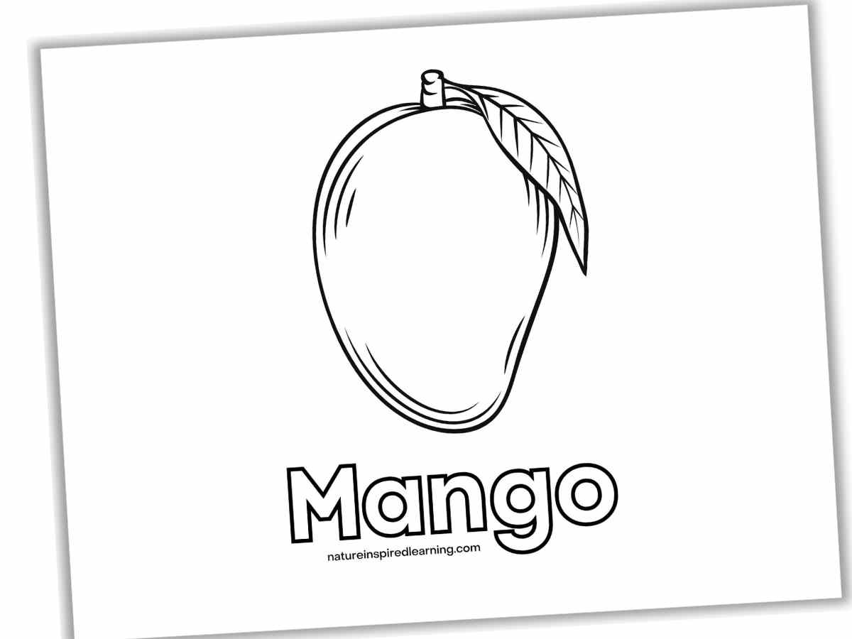 Black and white sheet with a large mango with a leaf above Mango written in outline form