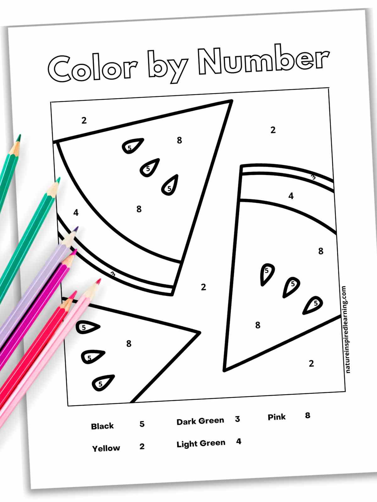 black and white color by number worksheet with watermelon slices slanted with a drop shadow colored pencils left side