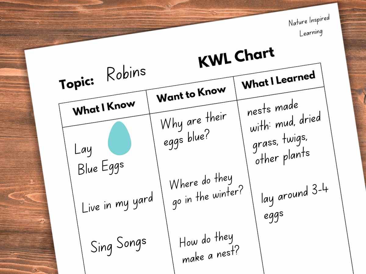filled out kwl chart on a wooden background with words and a blue egg on the printable
