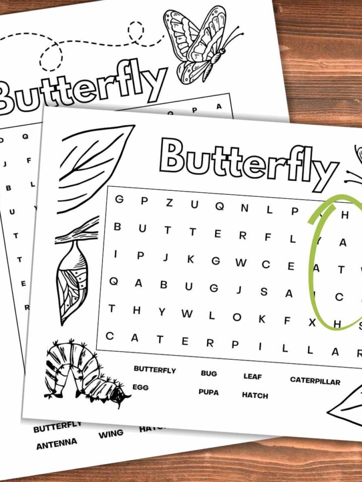 Two black and white word searches with butterfly vocabulary words overlapping on a wooden background. A pink highlighter on the left side and hatch circled in green on the right.