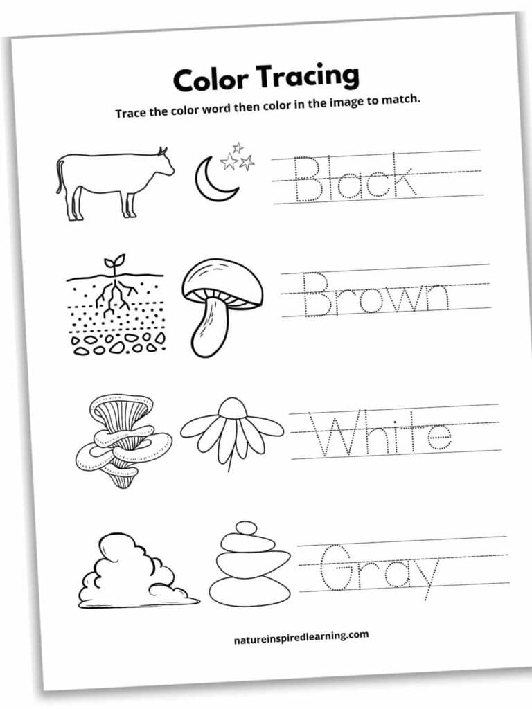 Color Tracing Worksheets - Nature Inspired Learning