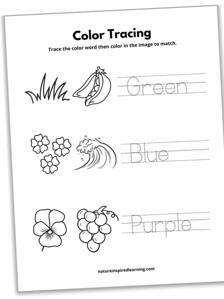 Color Tracing Worksheets - Nature Inspired Learning