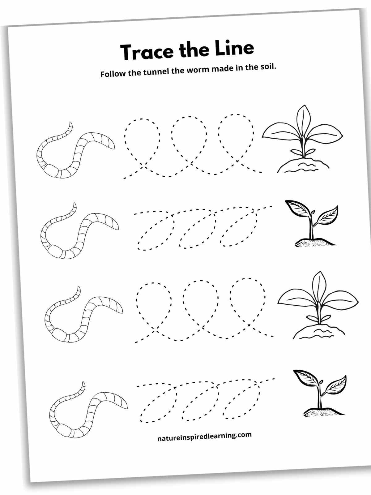 Black and white worksheet with four sets of dotted curved lines in between worms and sprouts in dirt.