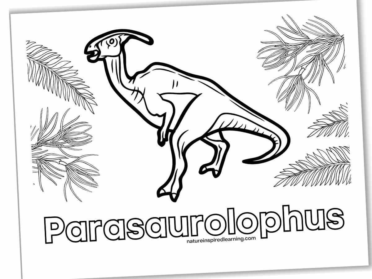 Black and white coloring page with a dinosaur surrounded by plants. The word Parasaurolophus written below the dinosaur in outline form. Printable slanted with a drop shadow.