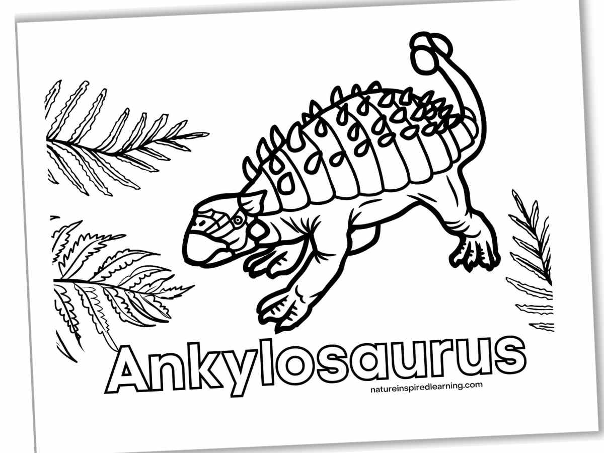 Black and white coloring page with a large dinosaur win armor and a club tail next to ferns. Akylosaurus written below the dinosaur in outline form. Printable slanted with a drop shadow.