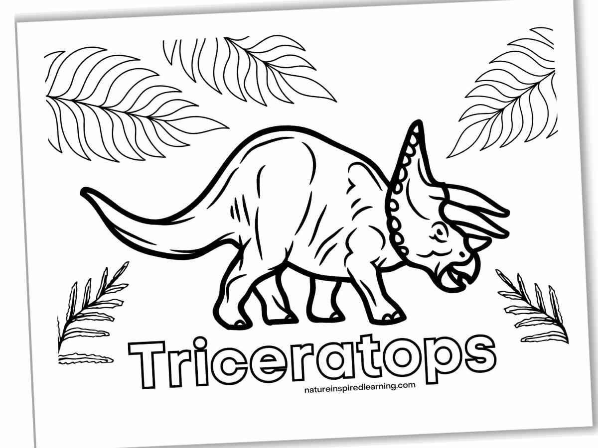 Black and white coloring page with a dinosaur with large horns surrounded by plants. Triceratops written below the dinosaur in outline form. Printable slanted with a drop shadow.