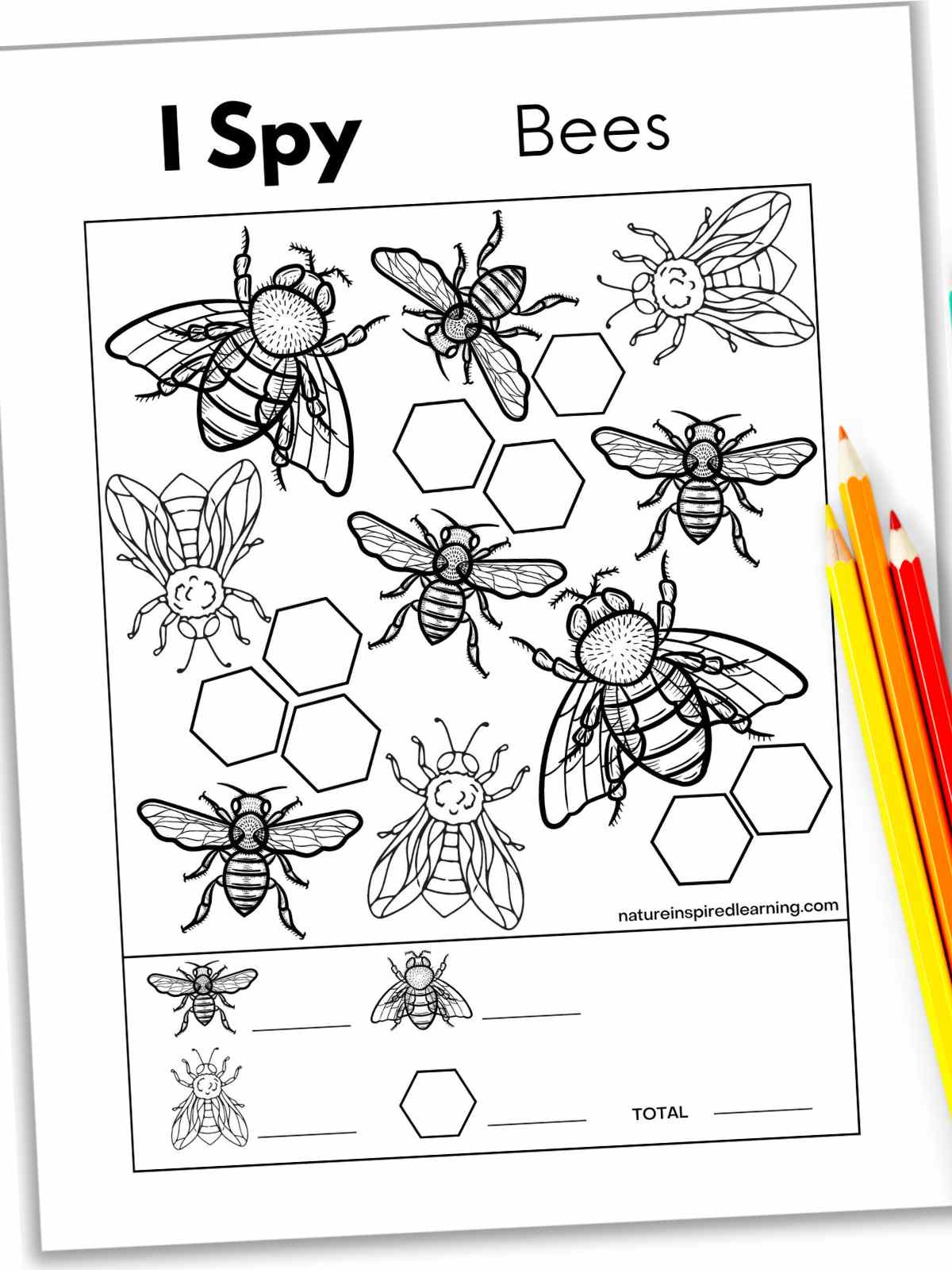 Black and white i spy worksheet with different bees and honeycombs with a yellow, orange, and red colored pencils bottom right.