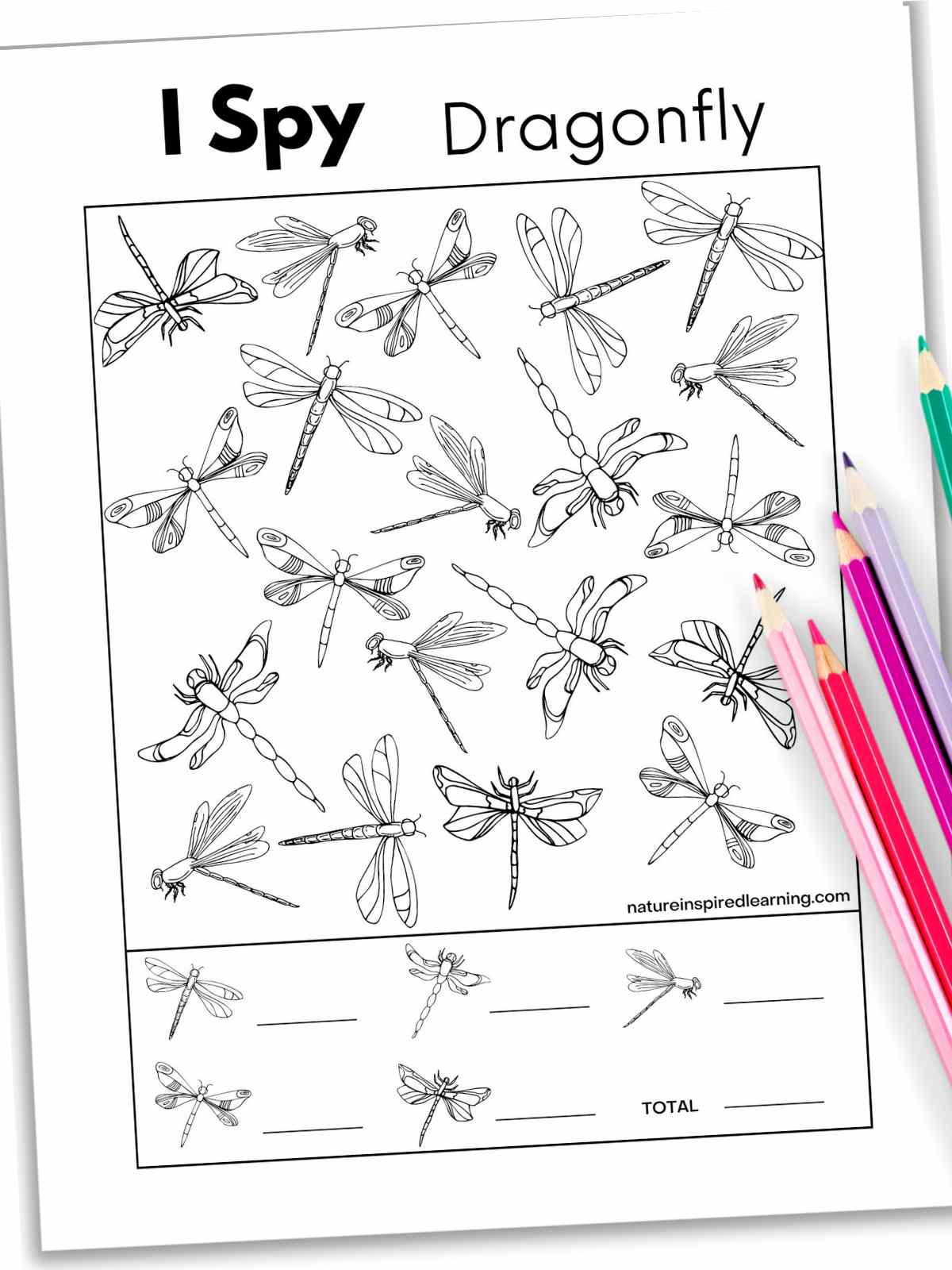Black and white i spy worksheet with different dragonfly designs with colored pencils bottom right.