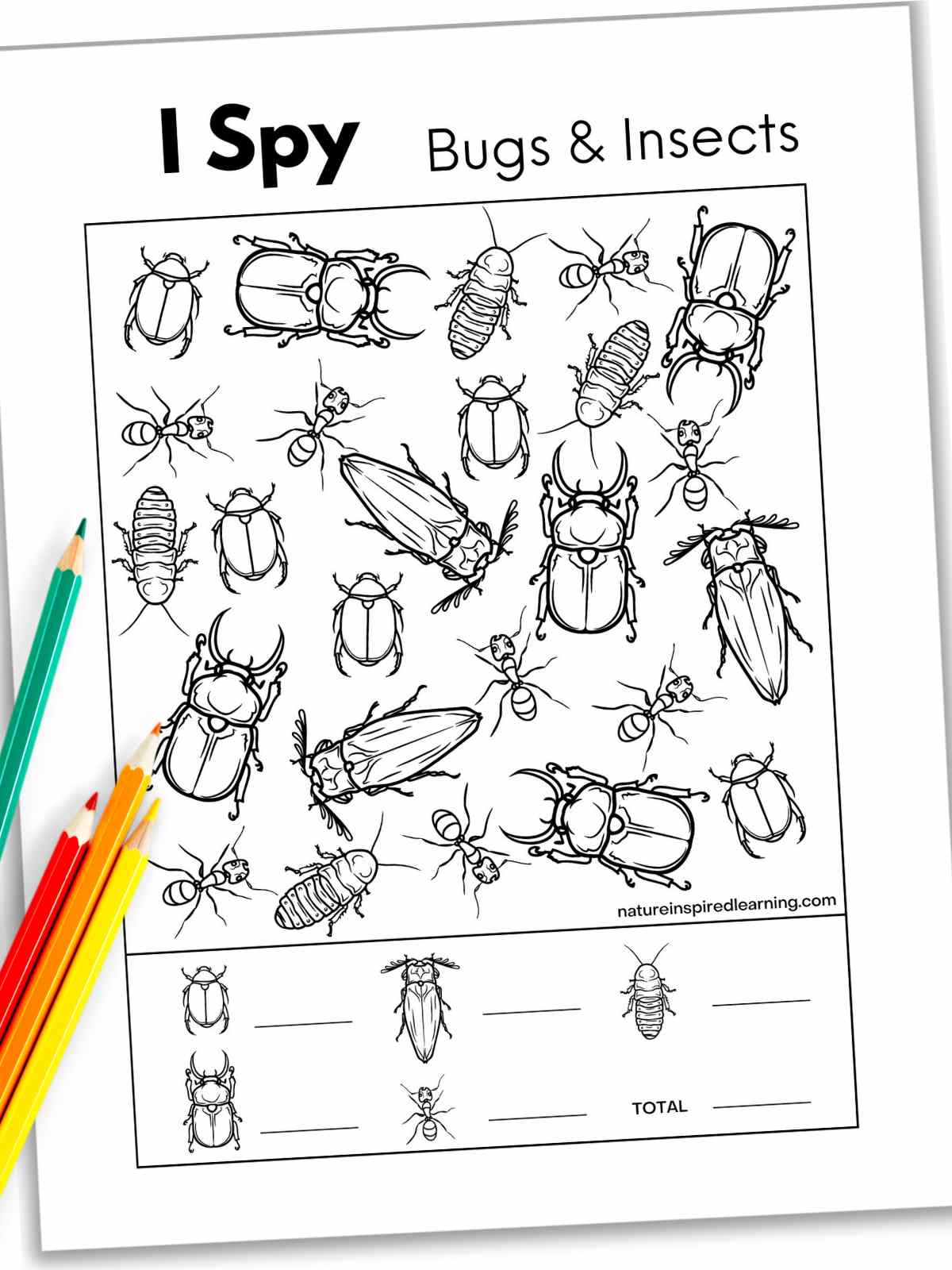 Black and white i spy worksheet with different insects including ants and beetles with colored pencils bottom left.