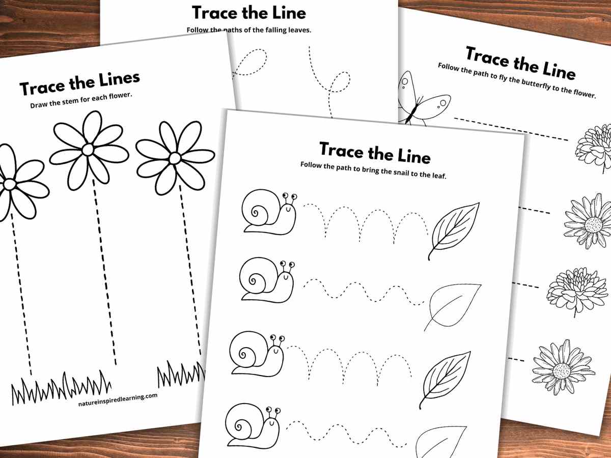 four worksheets with dotted lines, flowers, butterflies, leaves, and snails overlapping on a wooden background