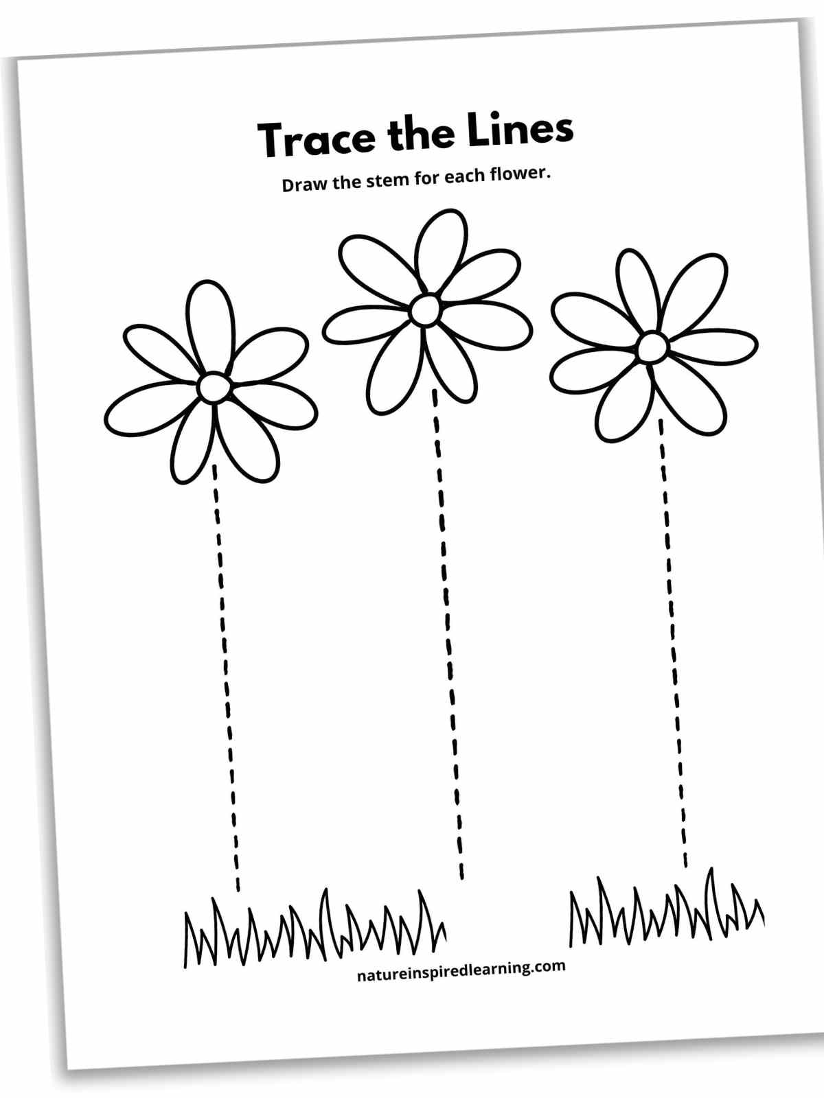 Black and white worksheet with three large flowers and straight dotted stems with grass.