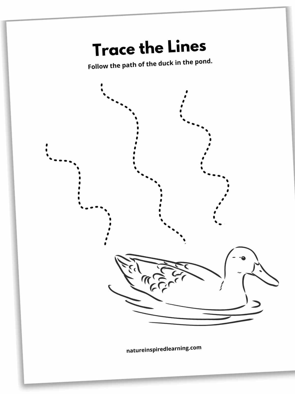 Black and white worksheet with a mallard duck in water with three dotted wavy lines behind the duck.