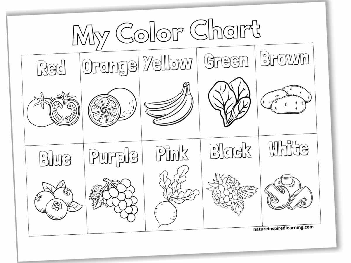 black and white color chart with a title across the top and boxes for red, orange, yellow, green brown, blue, purple, pink, black, and white. Each box has an outline of the color name and an image of a fruit or vegetable.