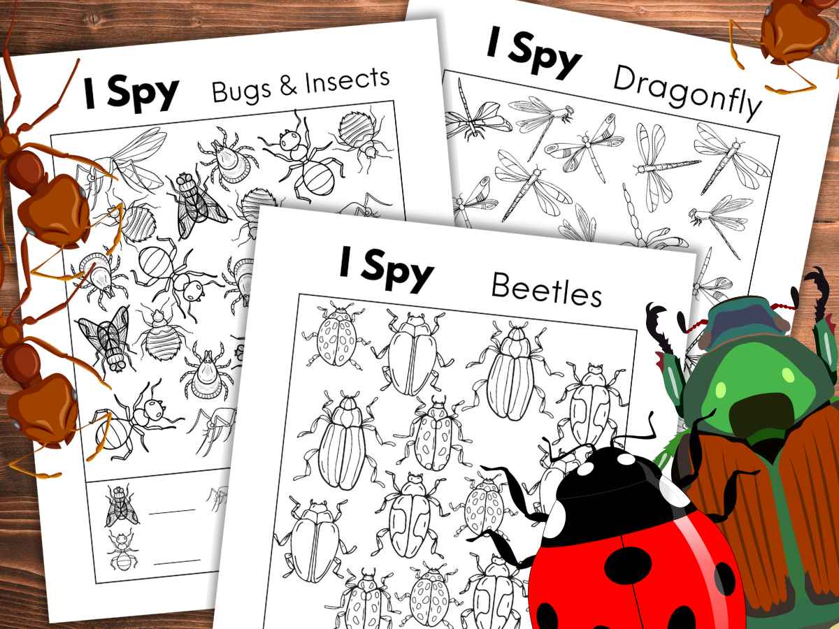 Three black and white i spy worksheets over lapping with a red ladybug, green and brown beetle, and three brown ants on top on a wooden background.