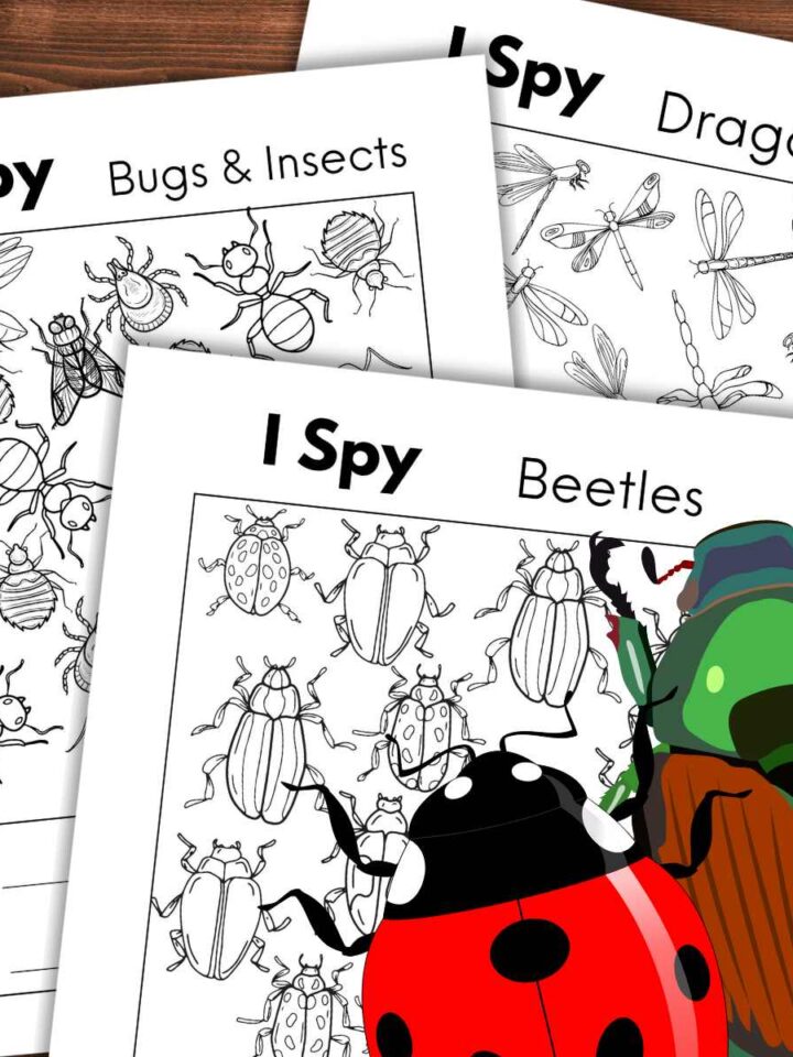 Three black and white insect i spy worksheets overlapping on a wooden background. Two colorful beetles bottom right.