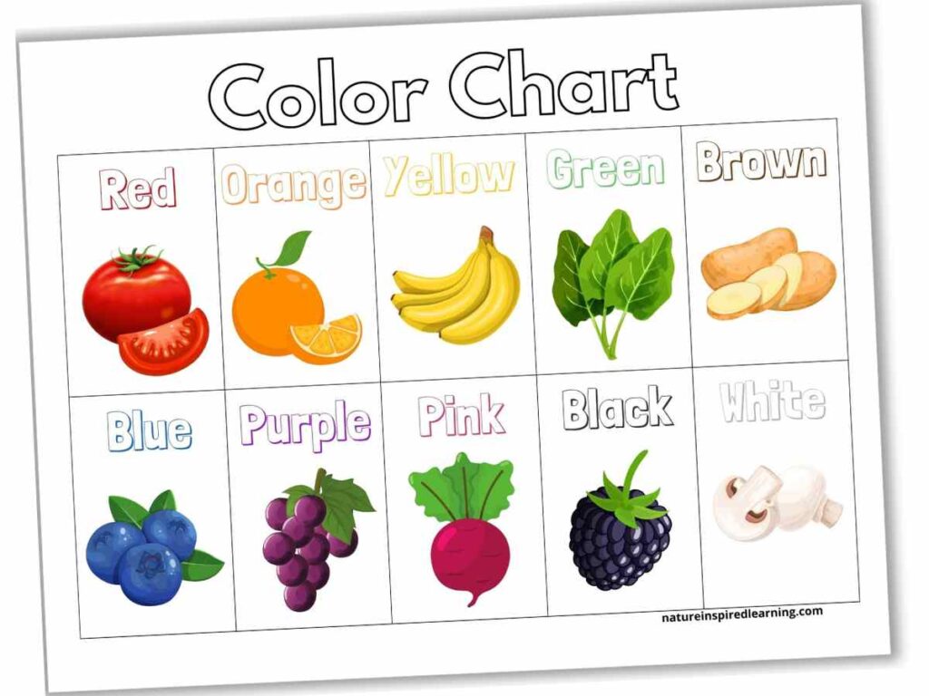 Color Charts Plus Activity Ideas - Nature Inspired Learning