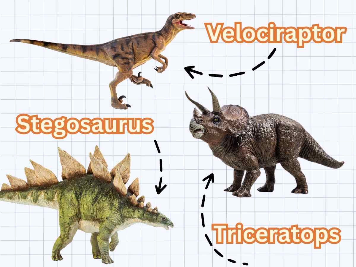graph paper with a velociraptor, triceratops, and stegosaurus next to orange text with the dinosaur's name along with dashed black arrows.