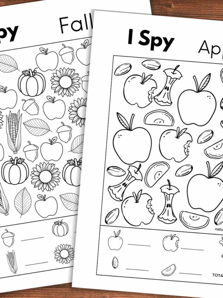 Two black and white fall themed i spy worksheets with different objects including apples, pumpkins, and leaves on a wooden background.