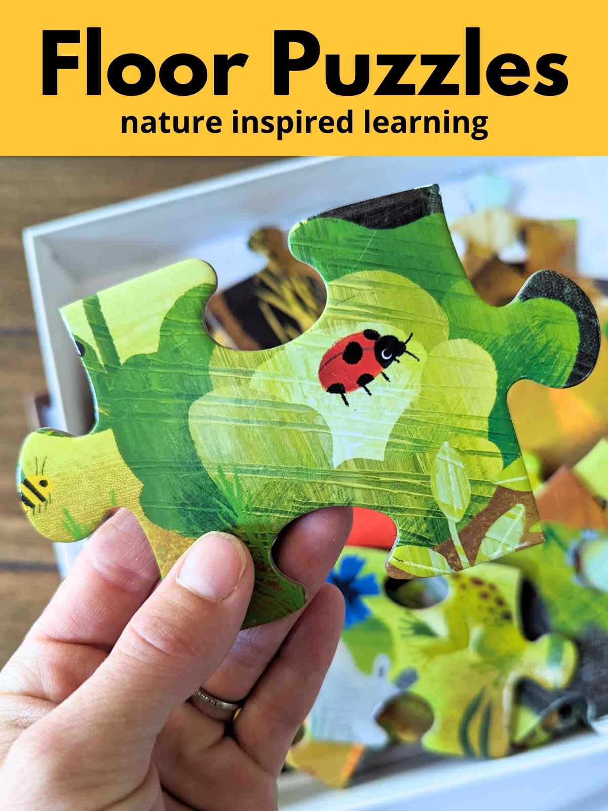 hand holding up a large puzzle piece with a leaf with and ladybug above a white box filled with puzzle pieces. Yellow rectangle across the top with black text overlay.