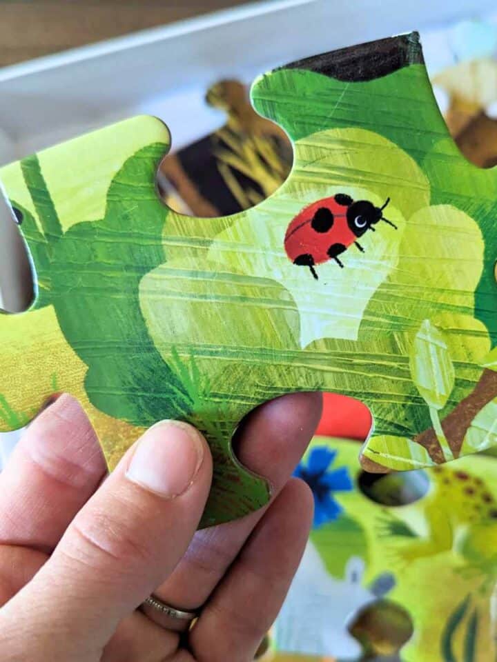 hand holding up a large puzzle piece with a leaf with and ladybug above a white box filled with puzzle pieces.