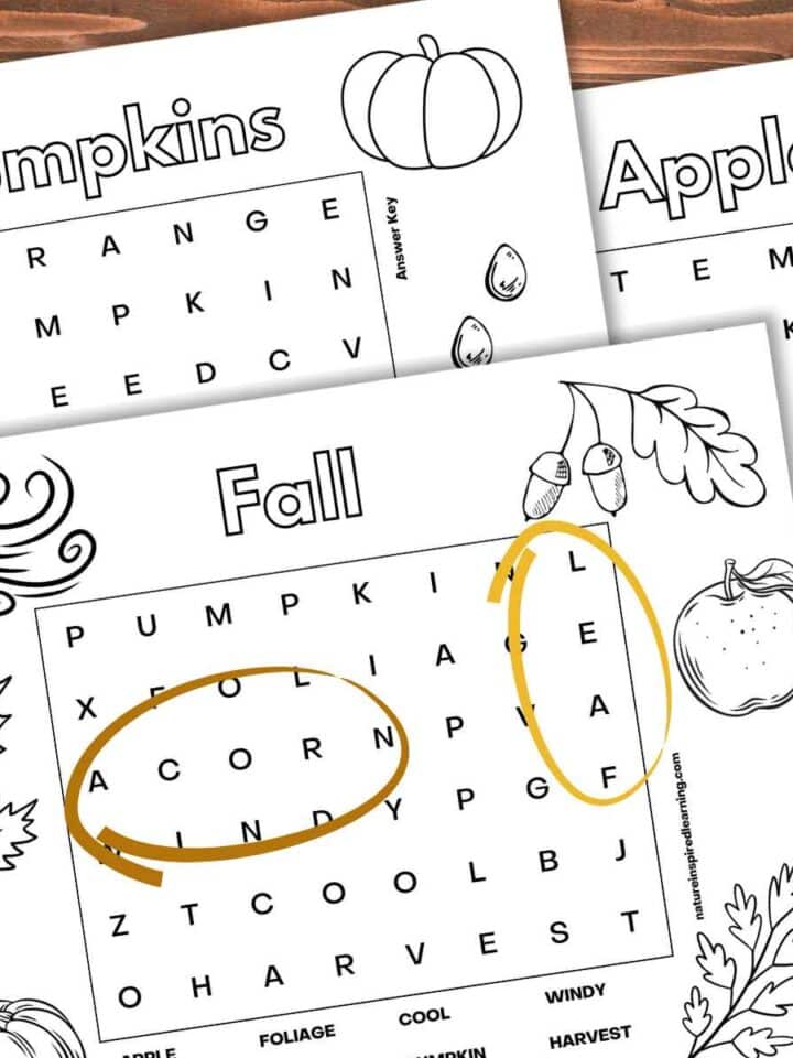 Three easy fall word searches: pumpkins, apples, and fall on a wooden background. The word acorn circled in brown and leaf circled in yellow.