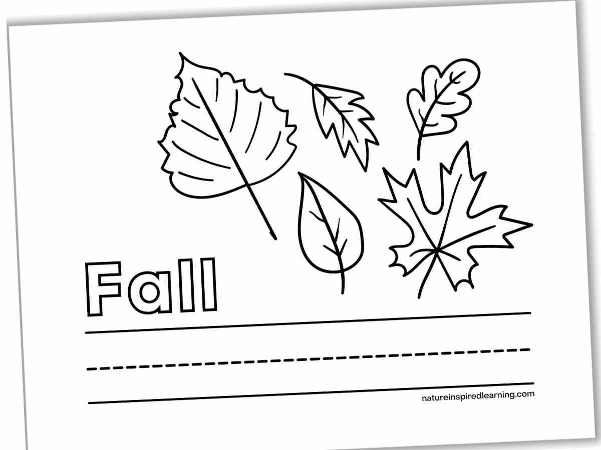 Black and white coloring sheet with five different leaves, Fall written in outline form, and a set of lines across the bottom.