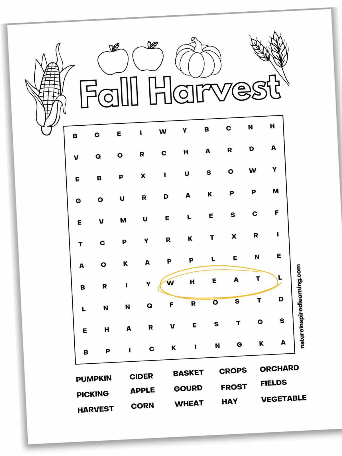 Fall harvest word search with 15 hidden words. The word wheat circled in yellow on the printable.