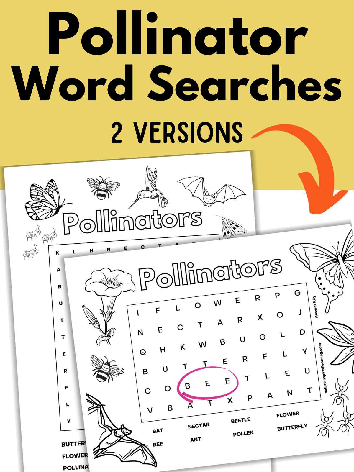 Two black and white word searches overlapping each other on a white background. Bee circled in pink with pictures of pollinators and flowers around the scrambled letters. Yellow rectangle across the top with black text overlay and an orange arrow pointing down to the printables.
