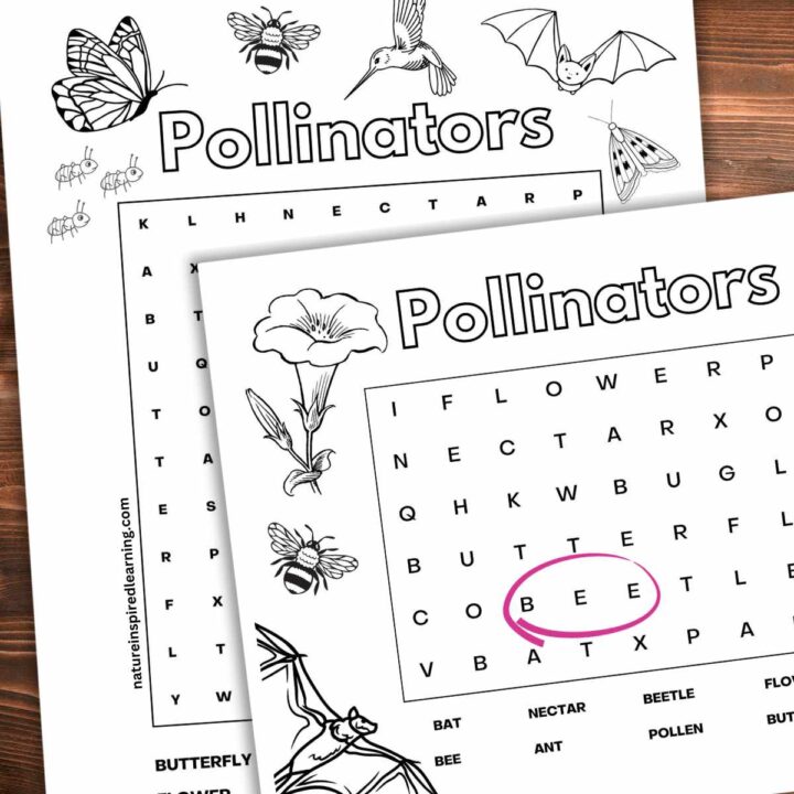 Two black and white word searches overlapping each other on a wooden background. Bee circled in pink with pictures of pollinators and flowers around the scrambled letters.