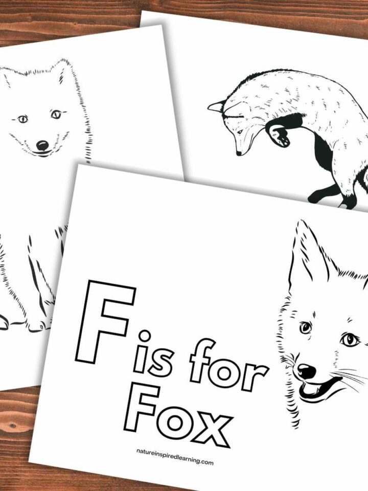Three fox coloring pages with different black and white designs on a wooden background.