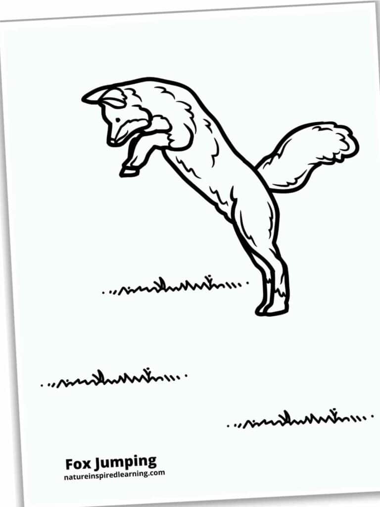 Realistic Fox Coloring Pages - Nature Inspired Learning