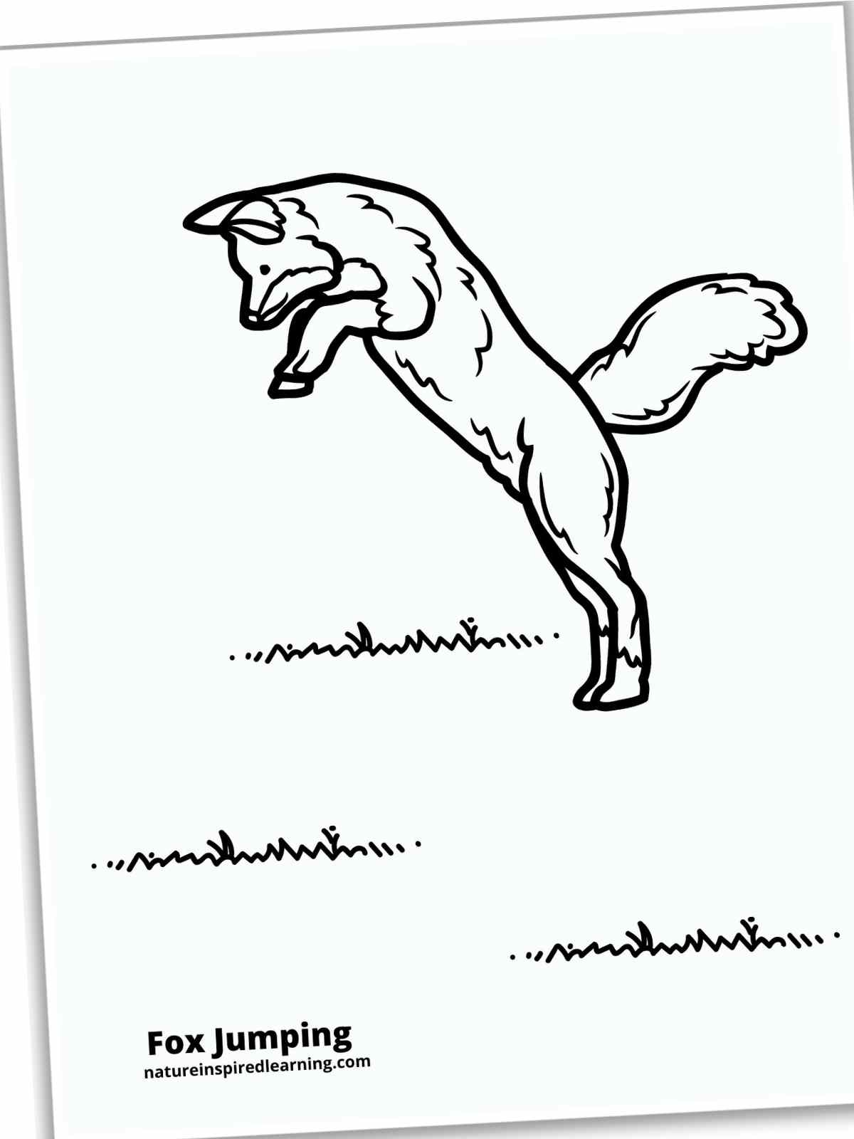 Black and white printable of a Fox jumping above the grass. Slanted on a white background with a drop shadow.