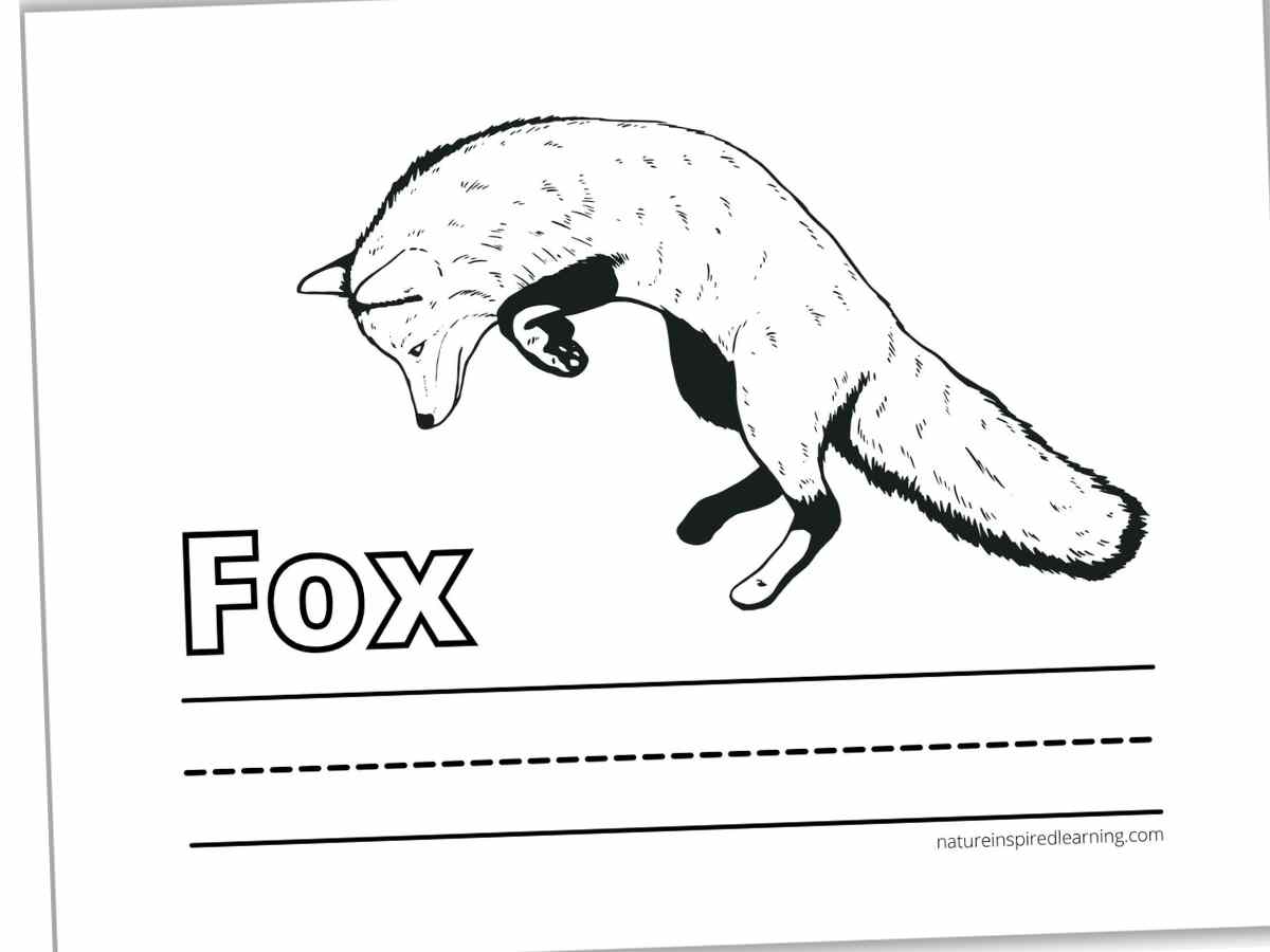 black and white printable with a jumping Fox, the word Fox in outline form, and a set of lines across the bottom. Slanted with a drop shadow.