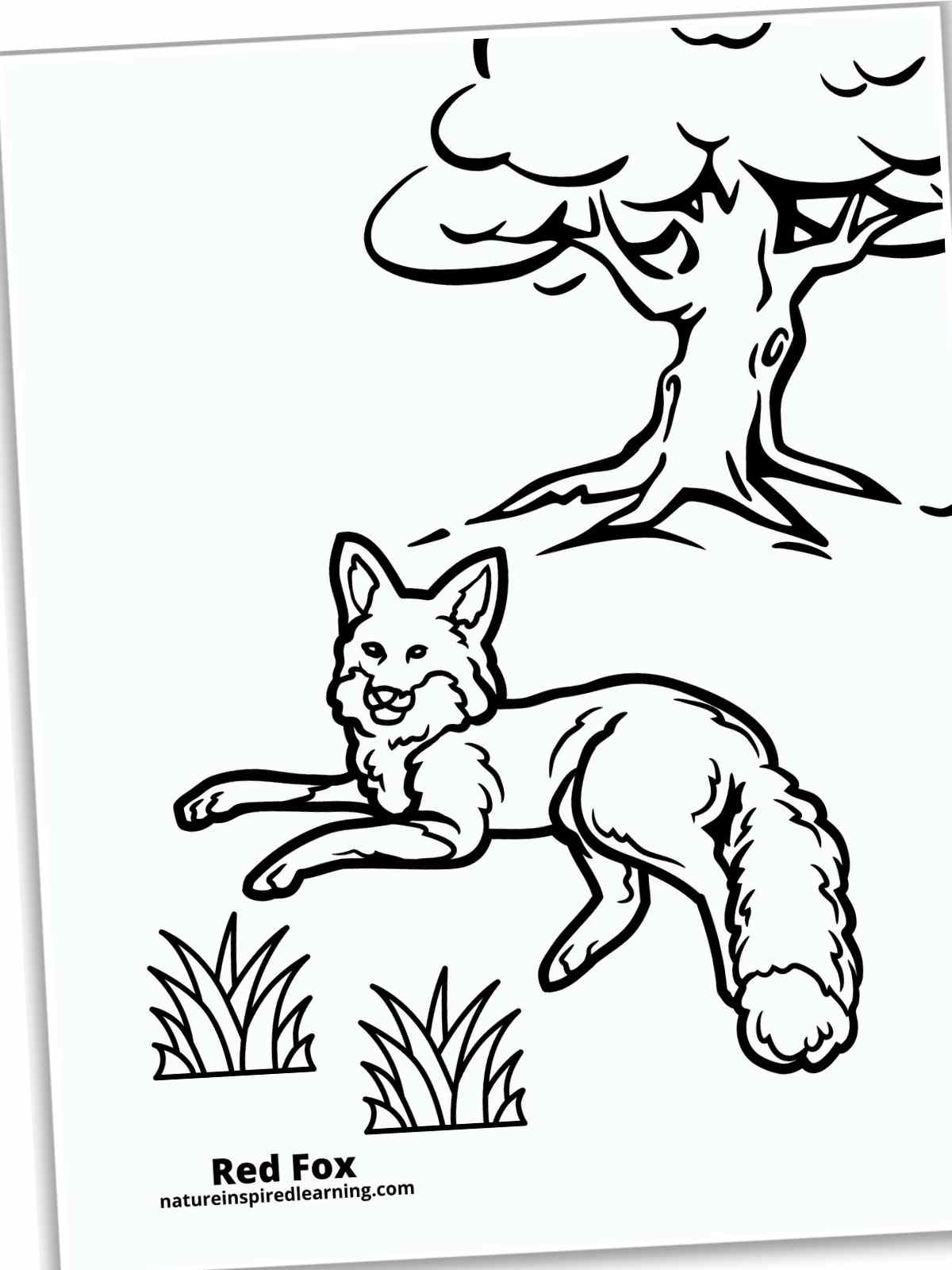 Black and white printable of a Fox laying in the grass with a tree in the background. Slanted on a white background with a drop shadow.