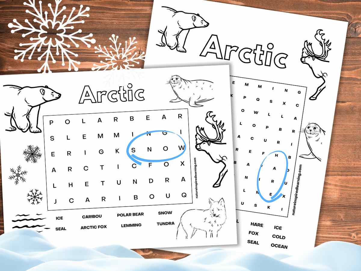 Two Arctic Word searches one easy one difficult overlapping on a wooden background. One word circled in bright blue on each printable. Snow clip art across the bottom with two snowflakes across the top.