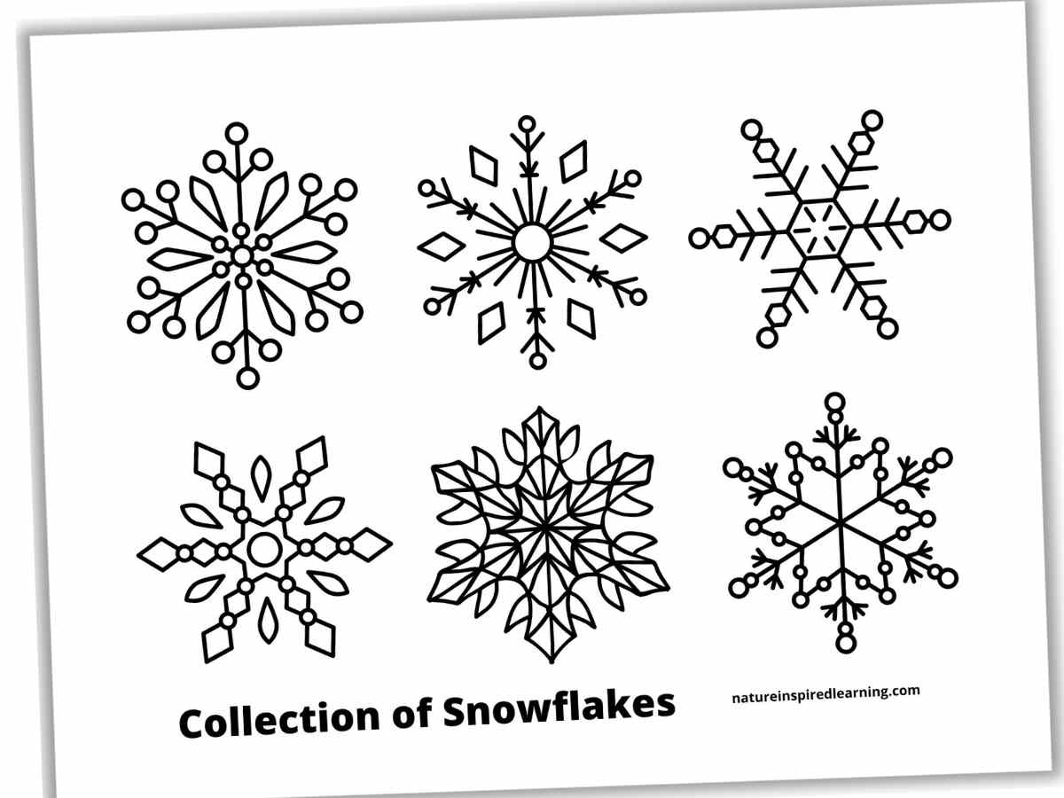 Black and white printable with six different snowflake designs arranged in two rows and three columns.