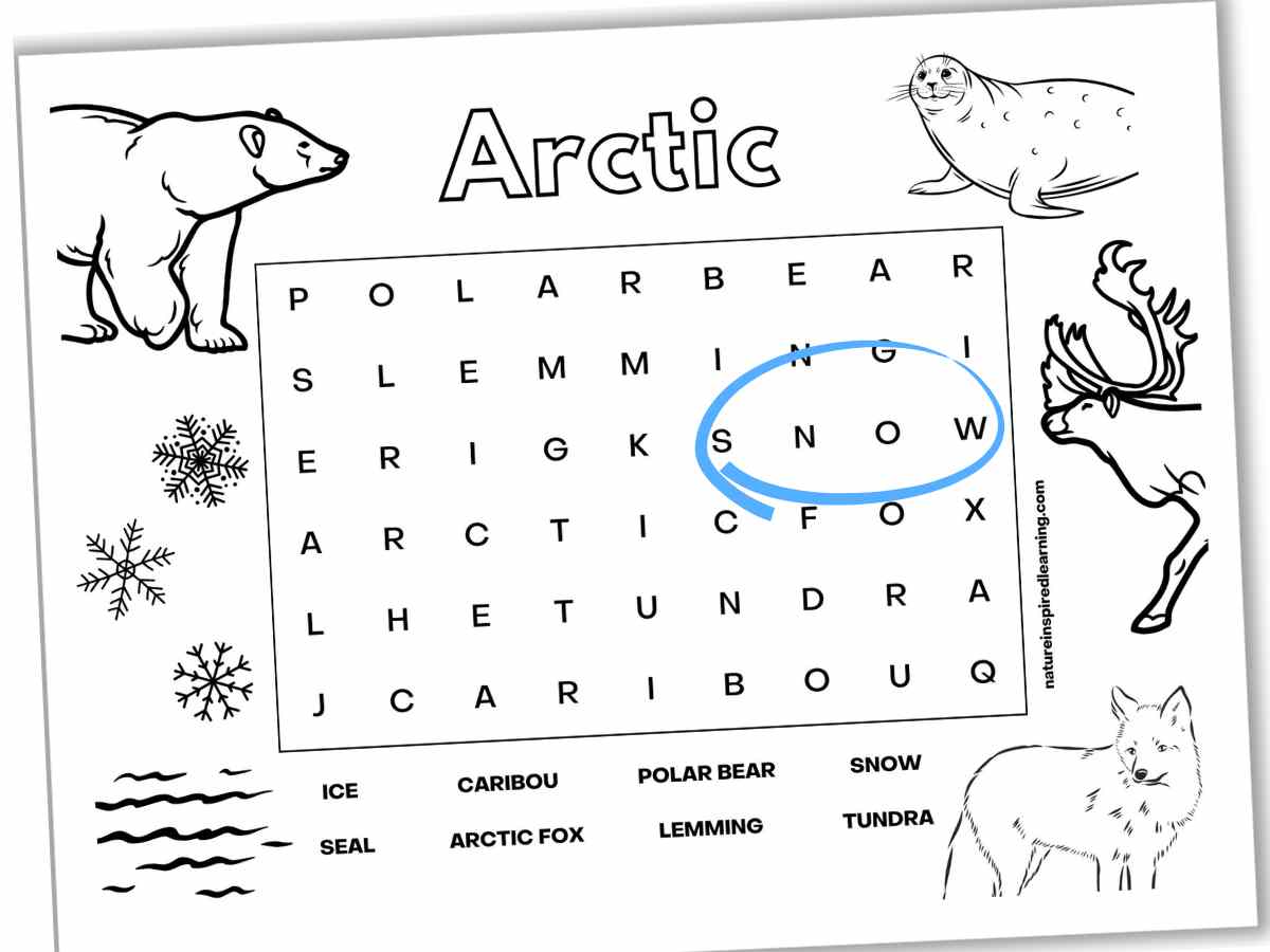 Black and white word search with Arctic animals around the perimeter of the worksheet. Now circled in bright blue. Printable slanted with a drop shadow.