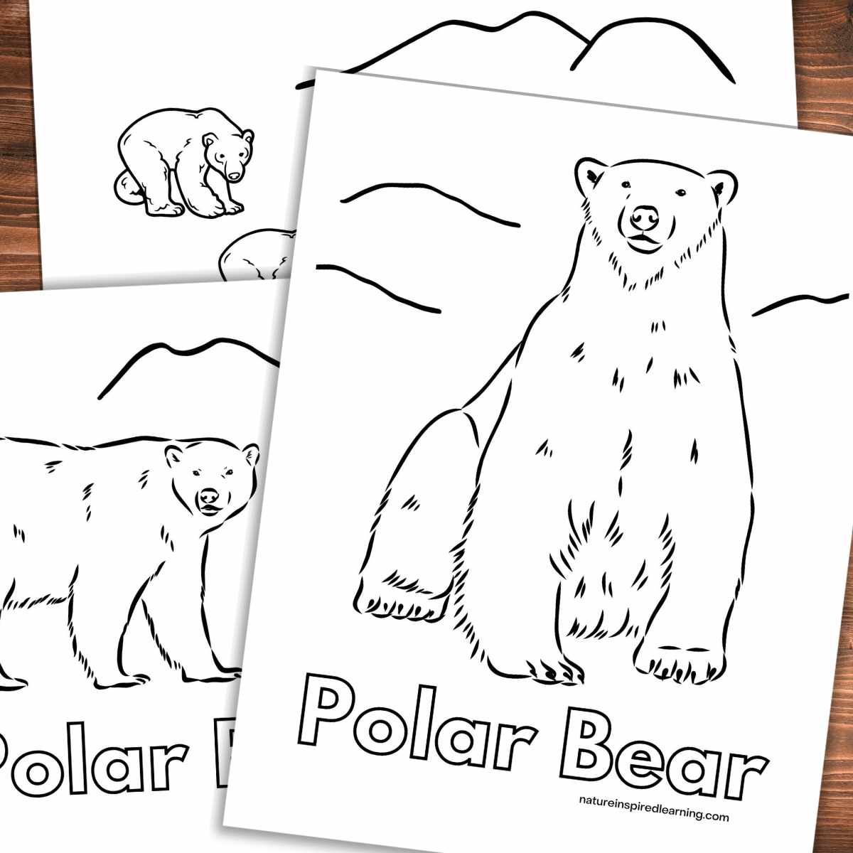 Polar Bear Face Coloring Pages