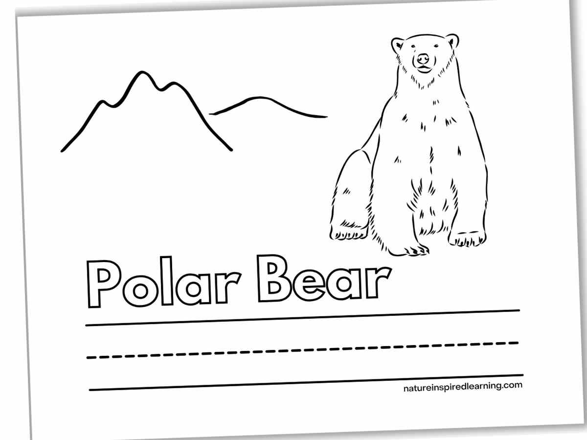 Black and white coloring page with a sitting polar bear next to snowy hills with the words Polar Bear below with a set of lines across the bottom.