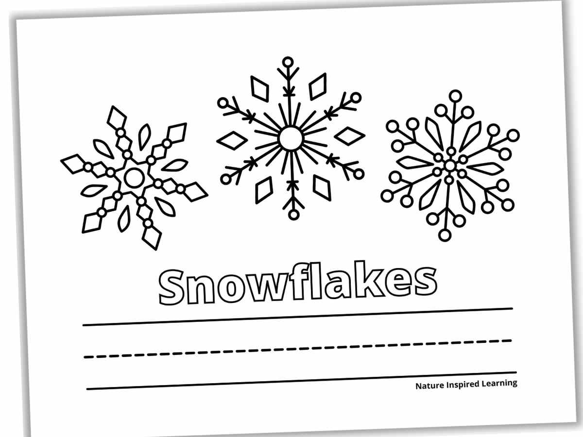 Black and white printable with three detailed snowflakes with the word Snowflakes in outline form with lines across the bottom.